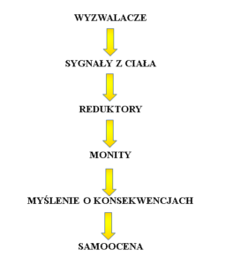 Psycholog Trening Kontroli Złości Gabinet Psychoterapii